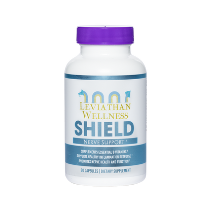 Recovery Stack - Shield and Safeguard