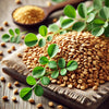 Fenugreek