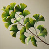 Ginkgo Biloba